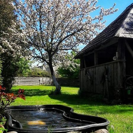 Viesu Nams Klanas Hotel Енгуре Екстериор снимка